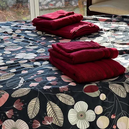 Villa F1 4-bedrooms With Parking, Ac & Pool 8 To 10 Guests La Turbie